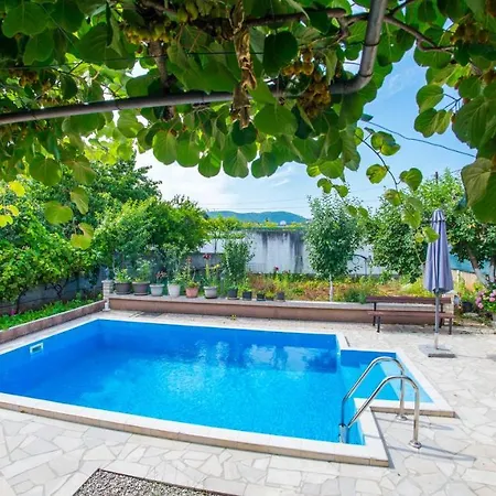 Kiwi With Private Pool *