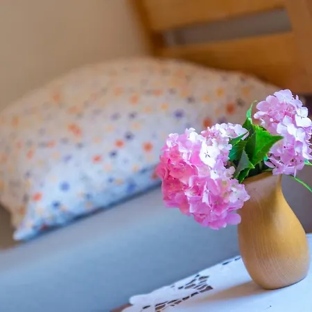 Kiwi With Private Pool Holiday home Mostar